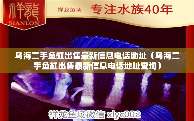 烏海二手魚缸出售最新信息電話地址（烏海二手魚缸出售最新信息電話地址查詢） 觀賞魚市場（混養(yǎng)魚）