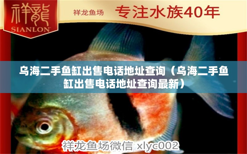 烏海二手魚(yú)缸出售電話(huà)地址查詢(xún)（烏海二手魚(yú)缸出售電話(huà)地址查詢(xún)最新） 虎斑恐龍魚(yú)