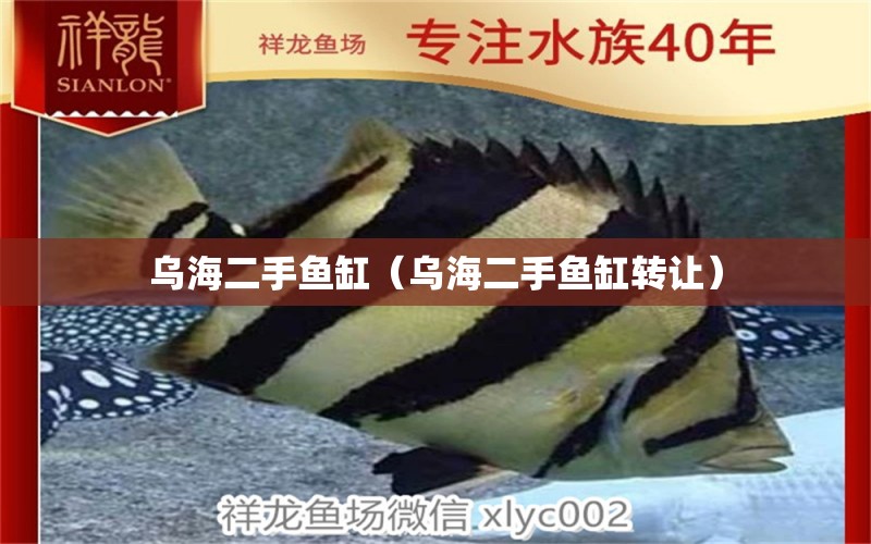 烏海二手魚(yú)缸（烏海二手魚(yú)缸轉(zhuǎn)讓） 其他品牌魚(yú)缸