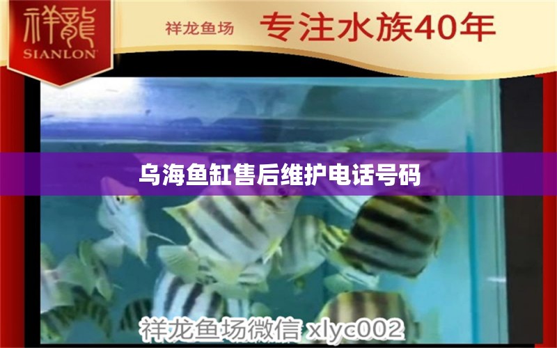 烏海魚缸售后維護(hù)電話號(hào)碼 其他品牌魚缸