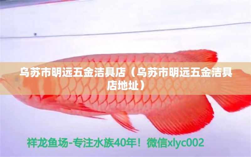 烏蘇市明遠五金潔具店（烏蘇市明遠五金潔具店地址） 全國水族館企業(yè)名錄