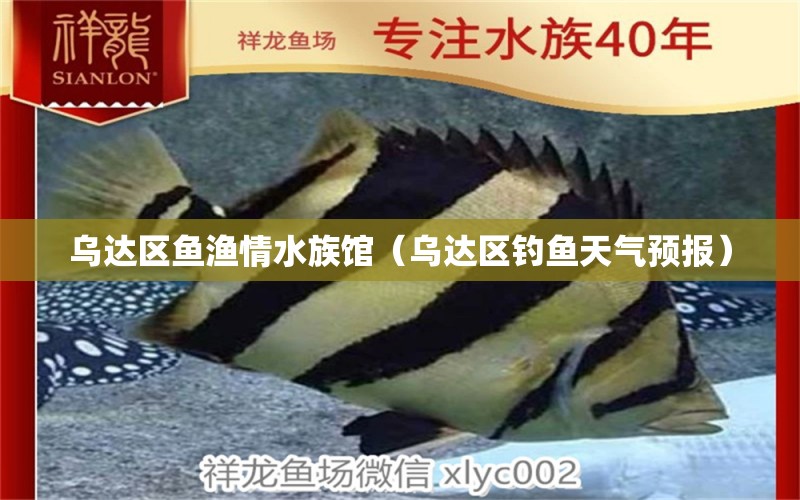 烏達(dá)區(qū)魚漁情水族館（烏達(dá)區(qū)釣魚天氣預(yù)報(bào)）