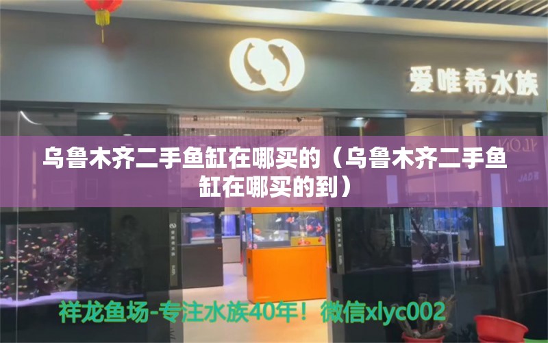 烏魯木齊二手魚缸在哪買的（烏魯木齊二手魚缸在哪買的到） 祥龍魚場(chǎng)