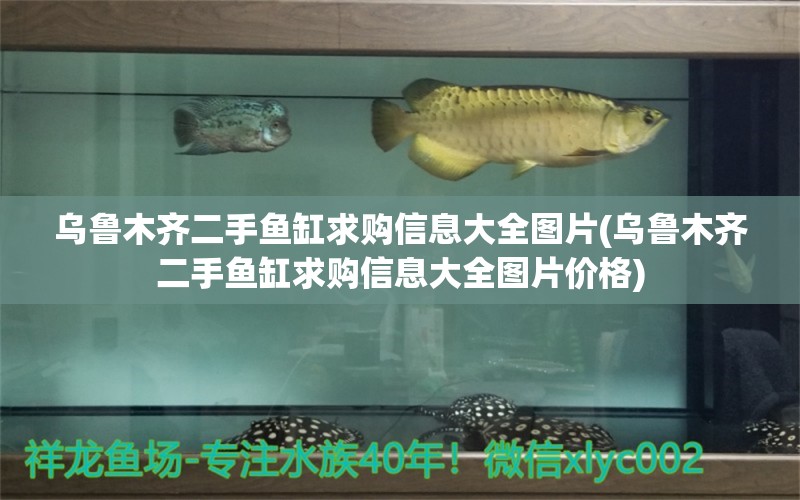 烏魯木齊二手魚缸求購信息大全圖片(烏魯木齊二手魚缸求購信息大全圖片價(jià)格) 非洲金鼓魚