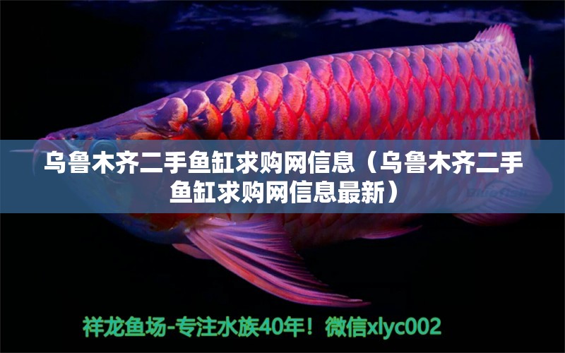 烏魯木齊二手魚缸求購網(wǎng)信息（烏魯木齊二手魚缸求購網(wǎng)信息最新） 祥龍水族醫(yī)院