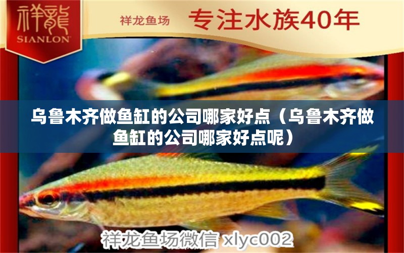 烏魯木齊做魚缸的公司哪家好點（烏魯木齊做魚缸的公司哪家好點呢） 量子養(yǎng)魚技術(shù)