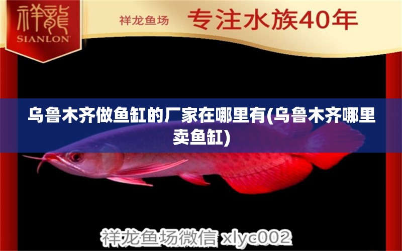 烏魯木齊做魚缸的廠家在哪里有(烏魯木齊哪里賣魚缸) 黃金眼鏡蛇雷龍魚