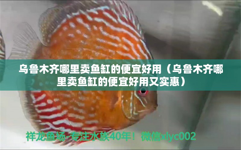 烏魯木齊哪里賣魚缸的便宜好用（烏魯木齊哪里賣魚缸的便宜好用又實(shí)惠） 黃鰭鯧魚