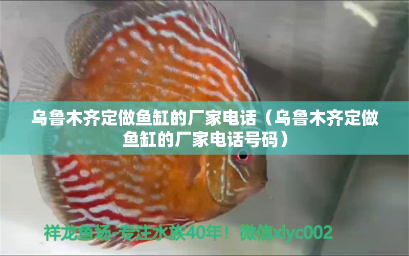 烏魯木齊定做魚缸的廠家電話（烏魯木齊定做魚缸的廠家電話號碼） iwish愛唯希品牌魚缸