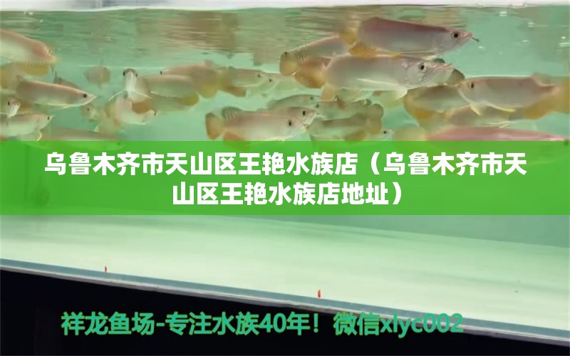 烏魯木齊市天山區(qū)王艷水族店（烏魯木齊市天山區(qū)王艷水族店地址） 全國水族館企業(yè)名錄