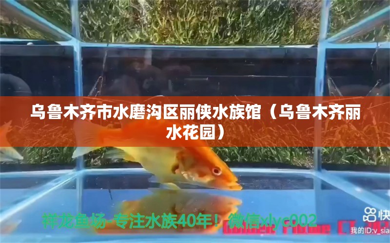 烏魯木齊市水磨溝區(qū)麗俠水族館（烏魯木齊麗水花園）