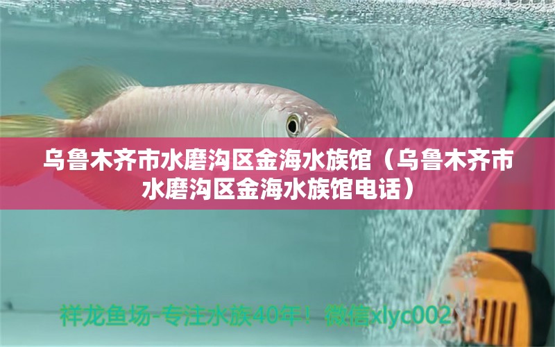 烏魯木齊市水磨溝區(qū)金海水族館（烏魯木齊市水磨溝區(qū)金海水族館電話）