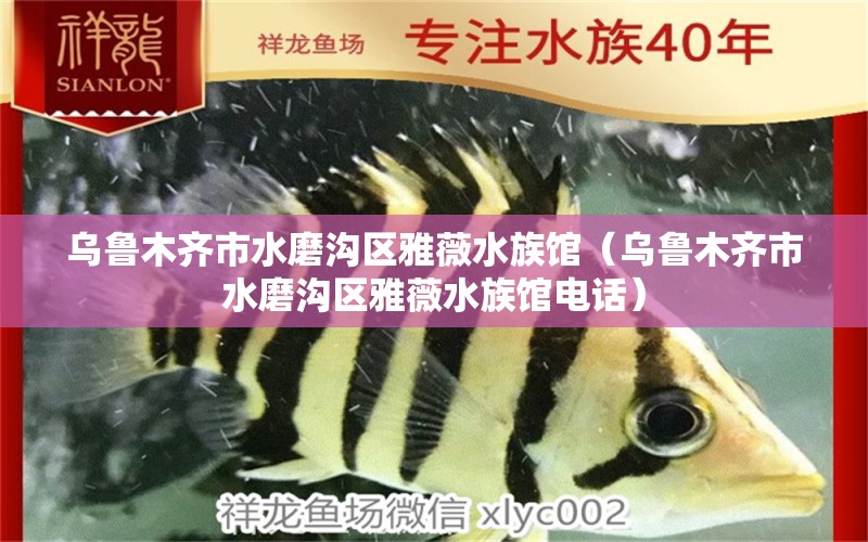 烏魯木齊市水磨溝區(qū)雅薇水族館（烏魯木齊市水磨溝區(qū)雅薇水族館電話(huà)）