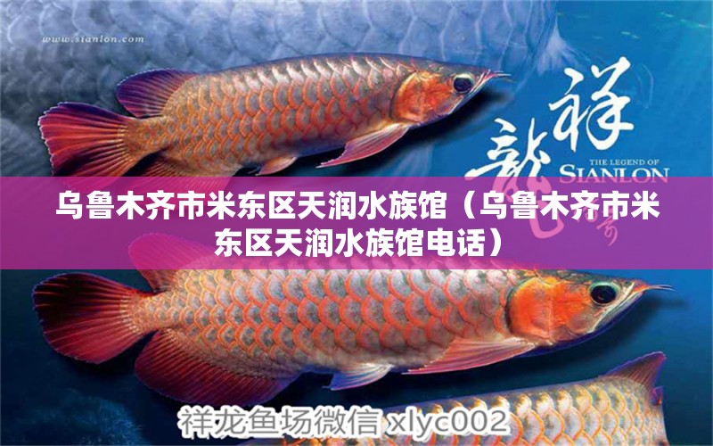 烏魯木齊市米東區(qū)天潤(rùn)水族館（烏魯木齊市米東區(qū)天潤(rùn)水族館電話(huà)） 全國(guó)水族館企業(yè)名錄