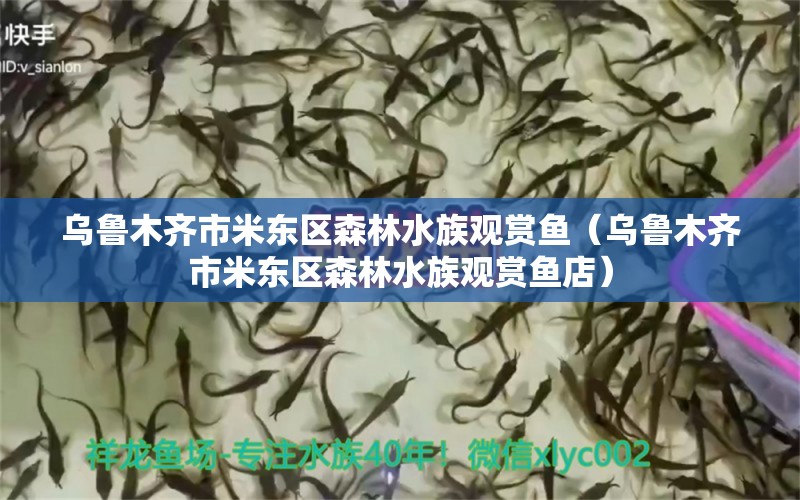 烏魯木齊市米東區(qū)森林水族觀賞魚（烏魯木齊市米東區(qū)森林水族觀賞魚店） 全國水族館企業(yè)名錄