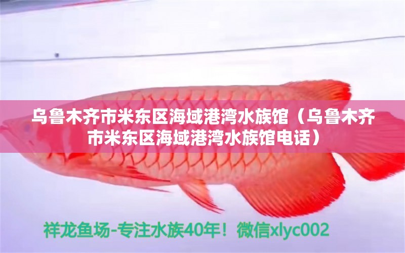 烏魯木齊市米東區(qū)海域港灣水族館（烏魯木齊市米東區(qū)海域港灣水族館電話） 全國水族館企業(yè)名錄