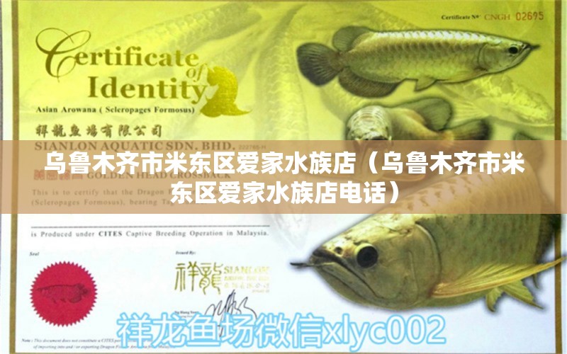 烏魯木齊市米東區(qū)愛家水族店（烏魯木齊市米東區(qū)愛家水族店電話）