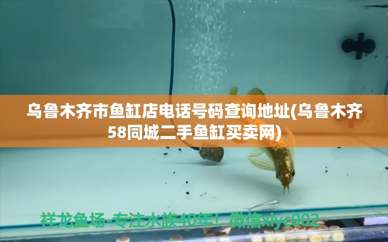 烏魯木齊市魚缸店電話號碼查詢地址(烏魯木齊58同城二手魚缸買賣網(wǎng)) 玫瑰銀版魚 第1張