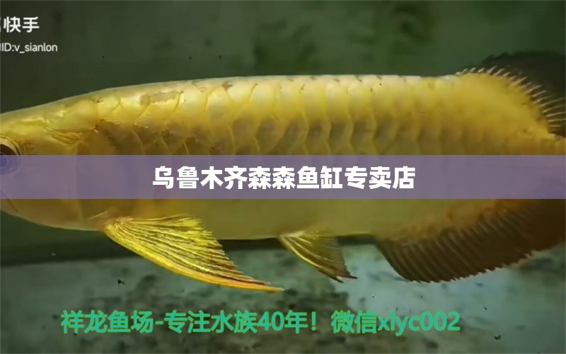 烏魯木齊森森魚缸專賣店