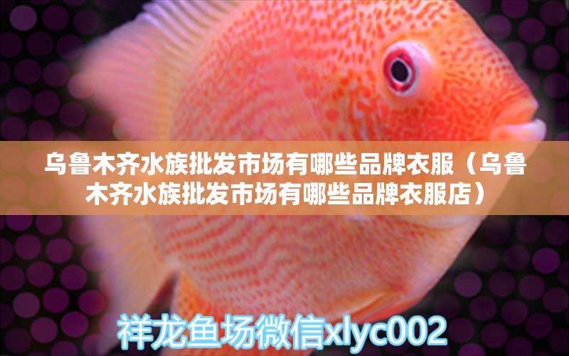 烏魯木齊水族批發(fā)市場有哪些品牌衣服（烏魯木齊水族批發(fā)市場有哪些品牌衣服店）