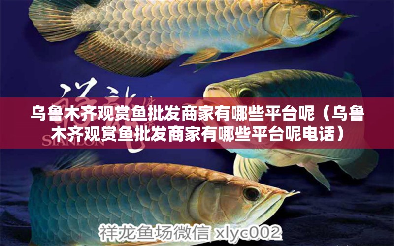 烏魯木齊觀賞魚(yú)批發(fā)商家有哪些平臺(tái)呢（烏魯木齊觀賞魚(yú)批發(fā)商家有哪些平臺(tái)呢電話）