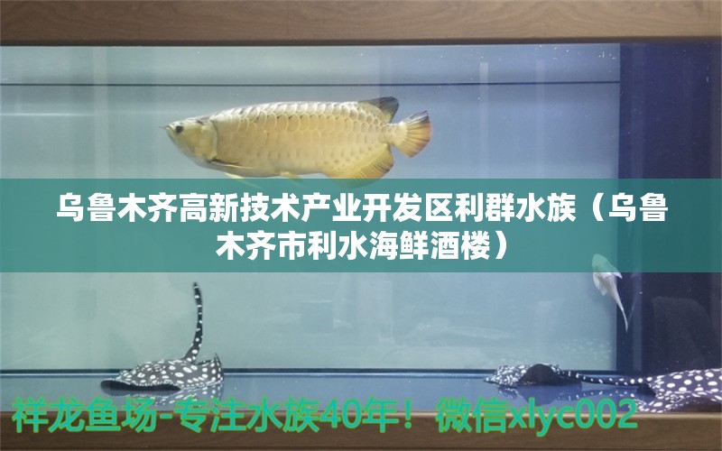 烏魯木齊高新技術(shù)產(chǎn)業(yè)開(kāi)發(fā)區(qū)利群水族（烏魯木齊市利水海鮮酒樓）