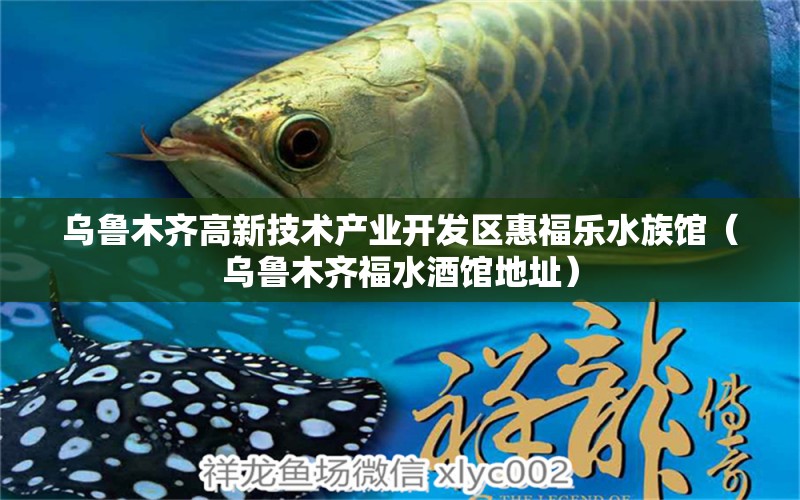 烏魯木齊高新技術(shù)產(chǎn)業(yè)開發(fā)區(qū)惠福樂水族館（烏魯木齊福水酒館地址）