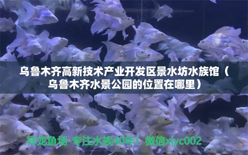 烏魯木齊高新技術(shù)產(chǎn)業(yè)開發(fā)區(qū)景水坊水族館（烏魯木齊水景公園的位置在哪里） 全國(guó)水族館企業(yè)名錄