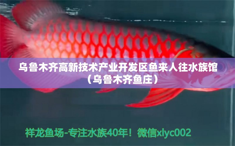 烏魯木齊高新技術(shù)產(chǎn)業(yè)開發(fā)區(qū)魚來人往水族館（烏魯木齊魚莊）