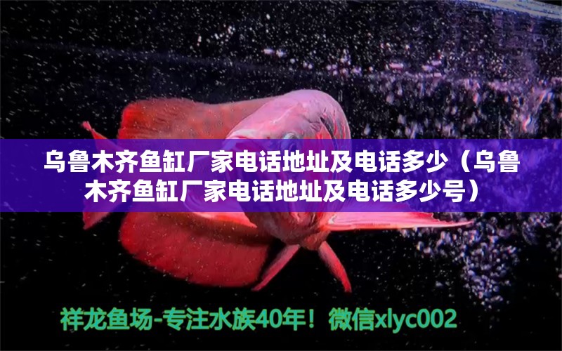 烏魯木齊魚缸廠家電話地址及電話多少（烏魯木齊魚缸廠家電話地址及電話多少號） 雙線側(cè)魚