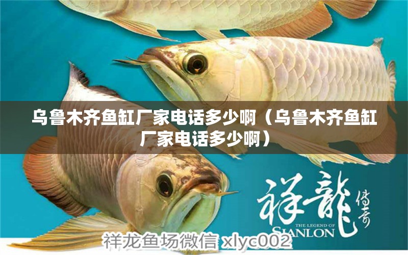 烏魯木齊魚缸廠家電話多少?。豸斈君R魚缸廠家電話多少?。? title=