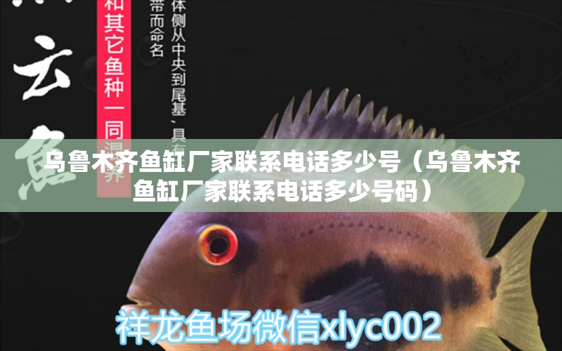 烏魯木齊魚(yú)缸廠家聯(lián)系電話多少號(hào)（烏魯木齊魚(yú)缸廠家聯(lián)系電話多少號(hào)碼）