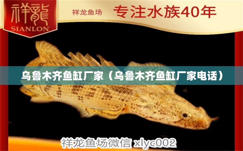 烏魯木齊魚(yú)缸廠家（烏魯木齊魚(yú)缸廠家電話(huà)） 其他品牌魚(yú)缸