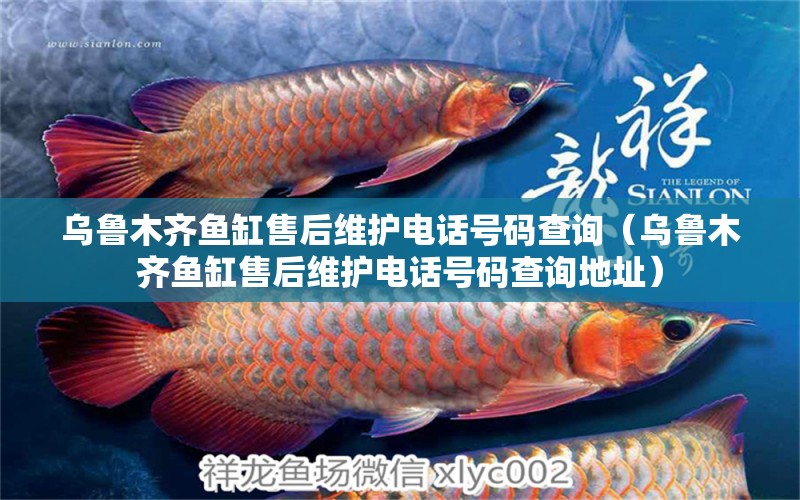 烏魯木齊魚缸售后維護電話號碼查詢（烏魯木齊魚缸售后維護電話號碼查詢地址） 其他品牌魚缸