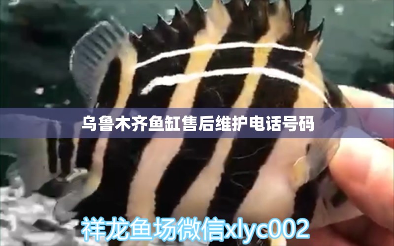 烏魯木齊魚缸售后維護(hù)電話號碼 其他品牌魚缸