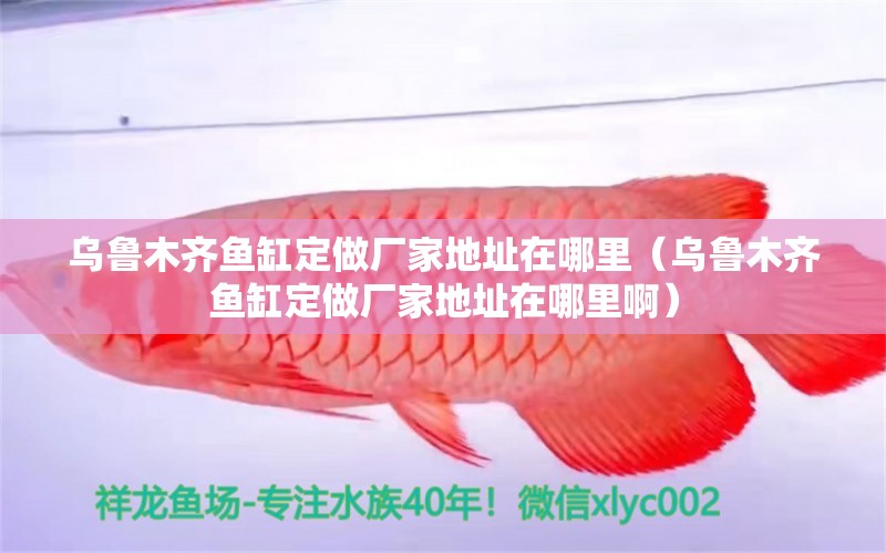 烏魯木齊魚缸定做廠家地址在哪里（烏魯木齊魚缸定做廠家地址在哪里?。? title=