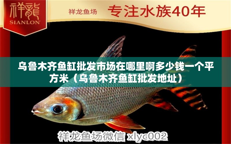 烏魯木齊魚缸批發(fā)市場在哪里啊多少錢一個平方米（烏魯木齊魚缸批發(fā)地址） 祥龍水族醫(yī)院