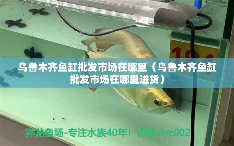 烏魯木齊魚(yú)缸批發(fā)市場(chǎng)在哪里（烏魯木齊魚(yú)缸批發(fā)市場(chǎng)在哪里進(jìn)貨） 其他品牌魚(yú)缸