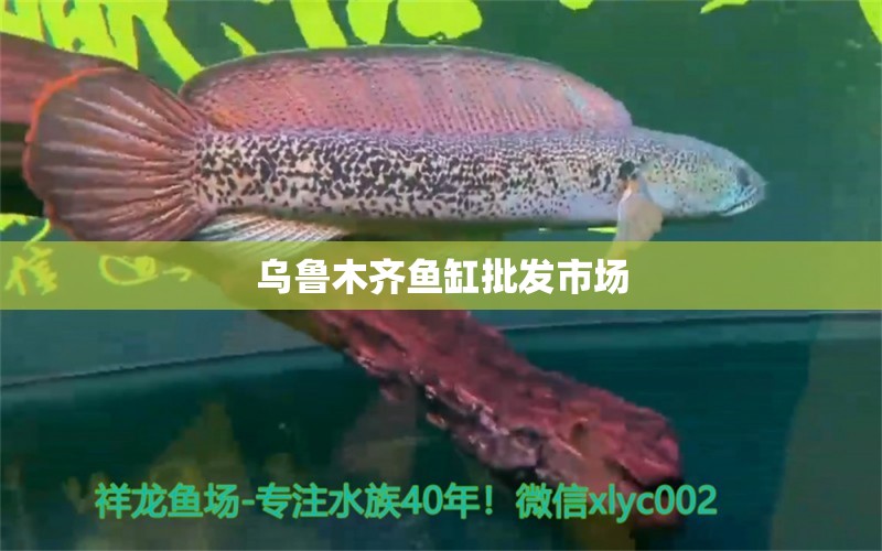 烏魯木齊魚缸批發(fā)市場