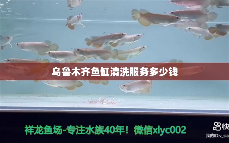 烏魯木齊魚缸清洗服務多少錢