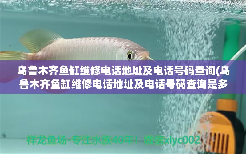 烏魯木齊魚缸維修電話地址及電話號碼查詢(烏魯木齊魚缸維修電話地址及電話號碼查詢是多少) 祥龍進口元寶鳳凰魚