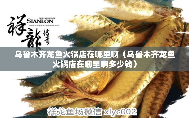 烏魯木齊龍魚火鍋店在哪里啊（烏魯木齊龍魚火鍋店在哪里啊多少錢） 祥龍水族醫(yī)院