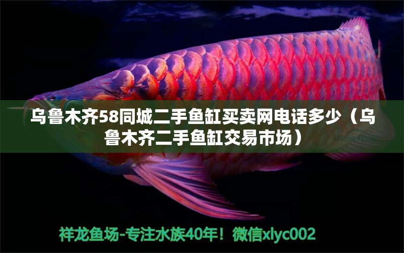 烏魯木齊58同城二手魚(yú)缸買(mǎi)賣(mài)網(wǎng)電話(huà)多少（烏魯木齊二手魚(yú)缸交易市場(chǎng)）