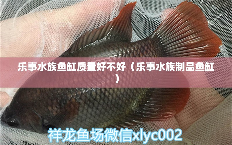 樂事水族魚缸質(zhì)量好不好（樂事水族制品魚缸） 觀賞魚市場（混養(yǎng)魚）