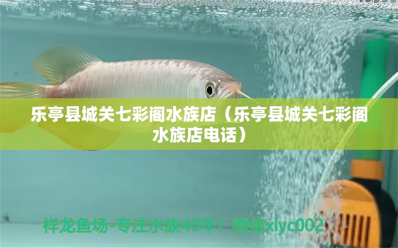 樂(lè)亭縣城關(guān)七彩閣水族店（樂(lè)亭縣城關(guān)七彩閣水族店電話）