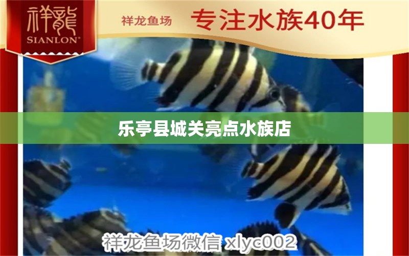 樂(lè)亭縣城關(guān)亮點(diǎn)水族店 全國(guó)水族館企業(yè)名錄