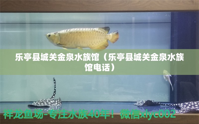 樂亭縣城關(guān)金泉水族館（樂亭縣城關(guān)金泉水族館電話） 全國水族館企業(yè)名錄