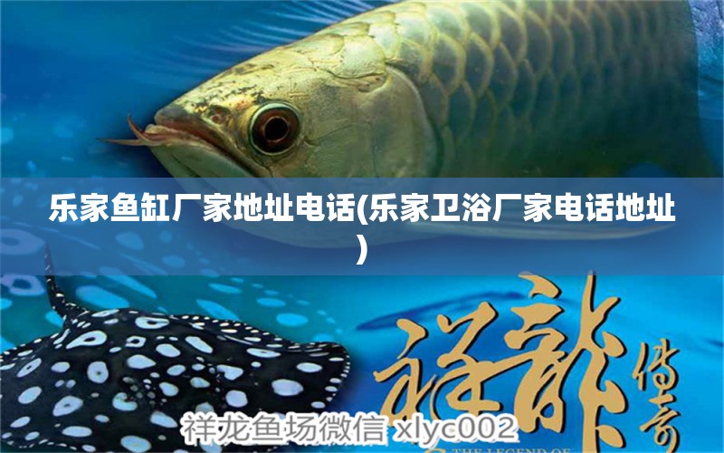 樂家魚缸廠家地址電話(樂家衛(wèi)浴廠家電話地址) 粗線銀版魚