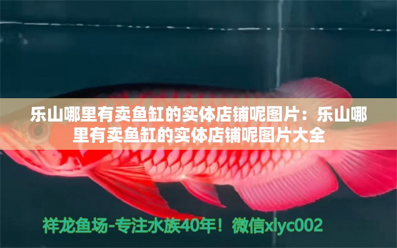 樂山哪里有賣魚缸的實體店鋪呢圖片：樂山哪里有賣魚缸的實體店鋪呢圖片大全 觀賞魚市場（混養(yǎng)魚）