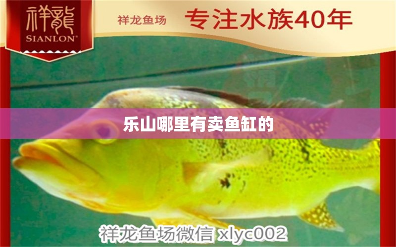 樂山哪里有賣魚缸的 其他品牌魚缸